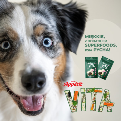 COMFY APPETIT VITA STICK JAGNIĘCINA 80G