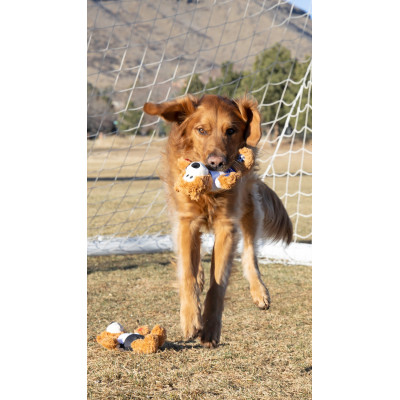 KONG SPORTS POLAND BEAR MD NKRS58