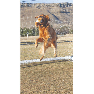 KONG SPORTS POLAND BEAR MD NKRS58