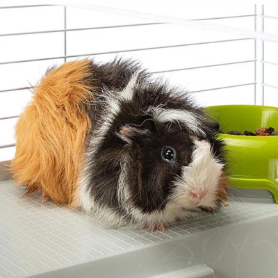 FERPLAST KLATKA CASITA 80