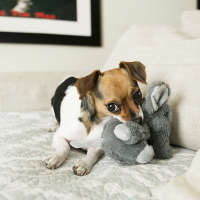 KONG COMFORT KIDDOS ELEPHANT XS