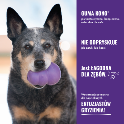 KONG CLASSIC SENIOR M