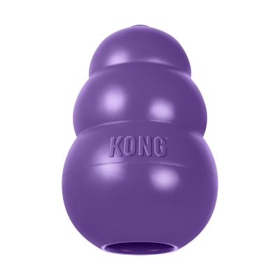 KONG SENIOR S