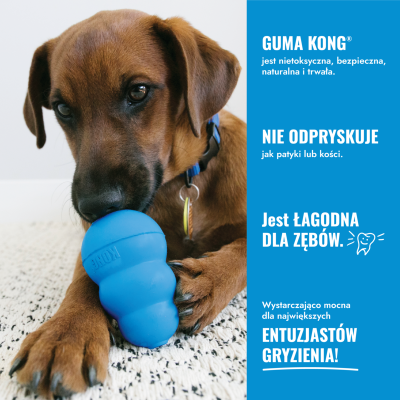 KONG PUPPY  S