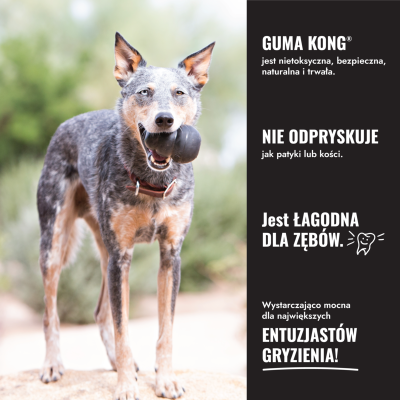 KONG GOODIE BONE EXTREME L