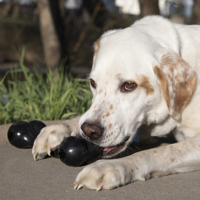 KONG GOODIE BONE EXTREME L