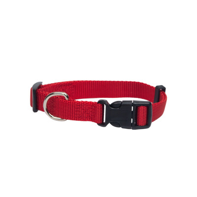 HAVE A PET OBROŻA BASIC CZERWONA S