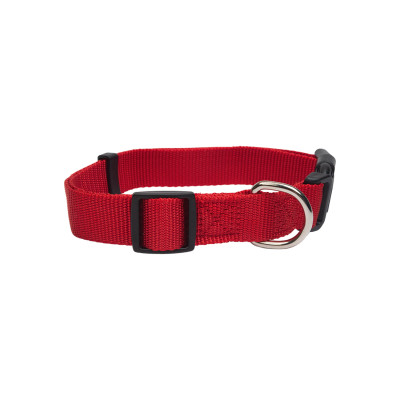 HAVE A PET OBROŻA BASIC CZERWONA L