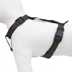 HAVE A PET SZELKI COMFORT REFLEX CZARNE XS