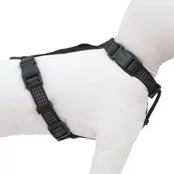 HAVE A PET SZELKI COMFORT REFLEX CZARNE M