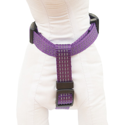 HAVE A PET SZELKI COMFORT REFLEX FIOLETOWE M