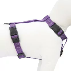 HAVE A PET SZELKI COMFORT REFLEX FIOLETOWE XXS