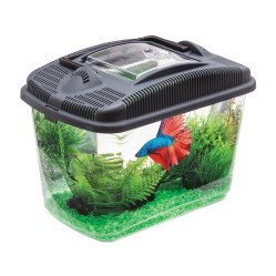BETTA KIT AKWARIUM TRANSPORTOWE DLA BOJOWNIKA  3 LITRY