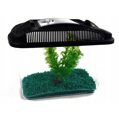 BETTA KIT AKWARIUM TRANSPORTOWE DLA BOJOWNIKA  3 LITRY