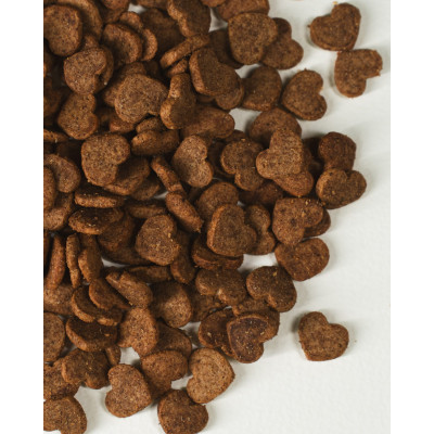 SAVORY CRUNCHY SKIN&COAT SALMON 50G