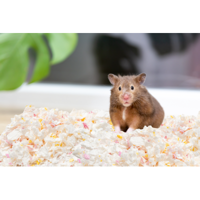 HAVE A PET SOFT PODŁOŻE PAPIEROWE DLA GRYZONI 15L