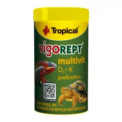 TROPICAL VIGOREPT MULTIVIT 100ML/70G