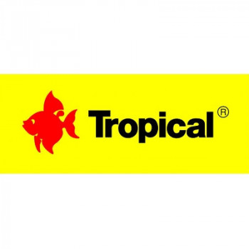 TROPICAL