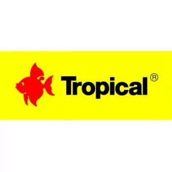 TROPICAL