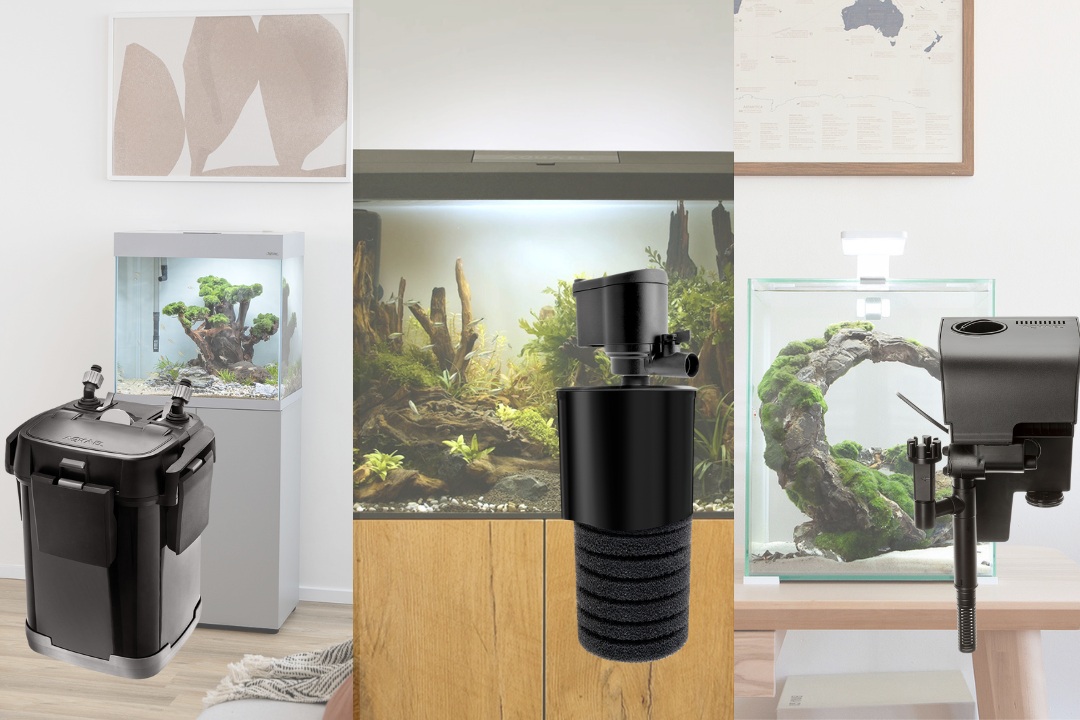 Jak dobrać filtr do akwarium? 