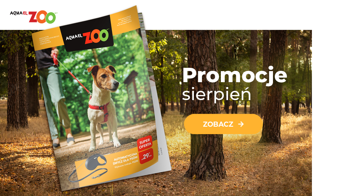 Gazetka sierpień 2025