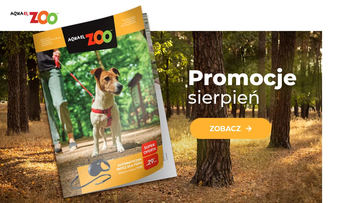 Gazetka sierpień 2025