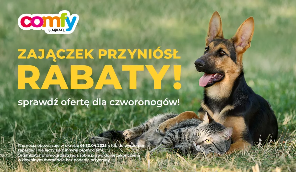 Comfy kwiecień