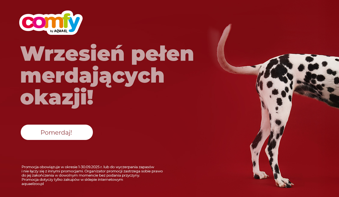 Promocja Comfy Pies