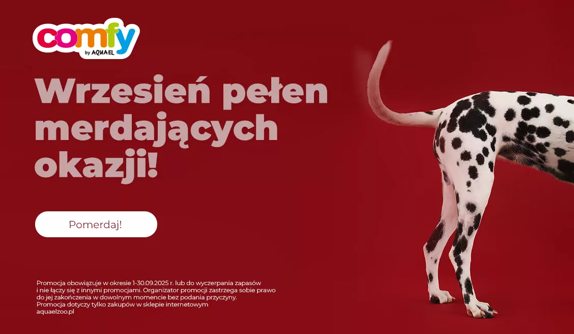 Promocja Comfy Pies