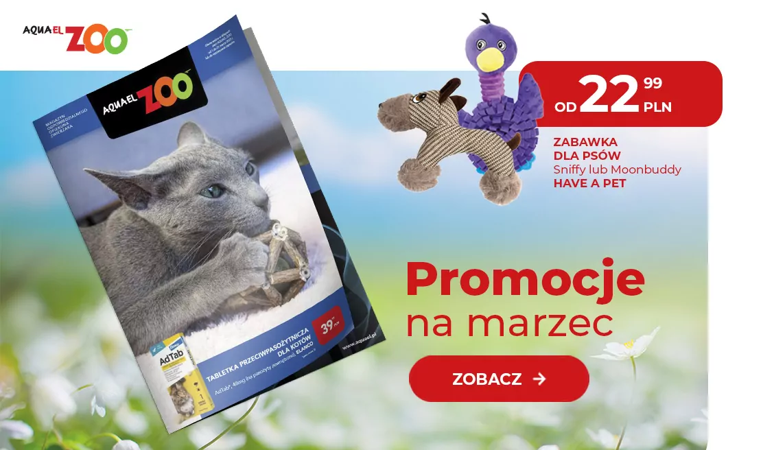 Gazetka 03.2025