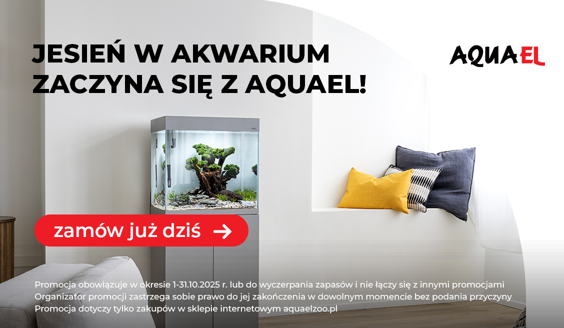 Promocje Aquael