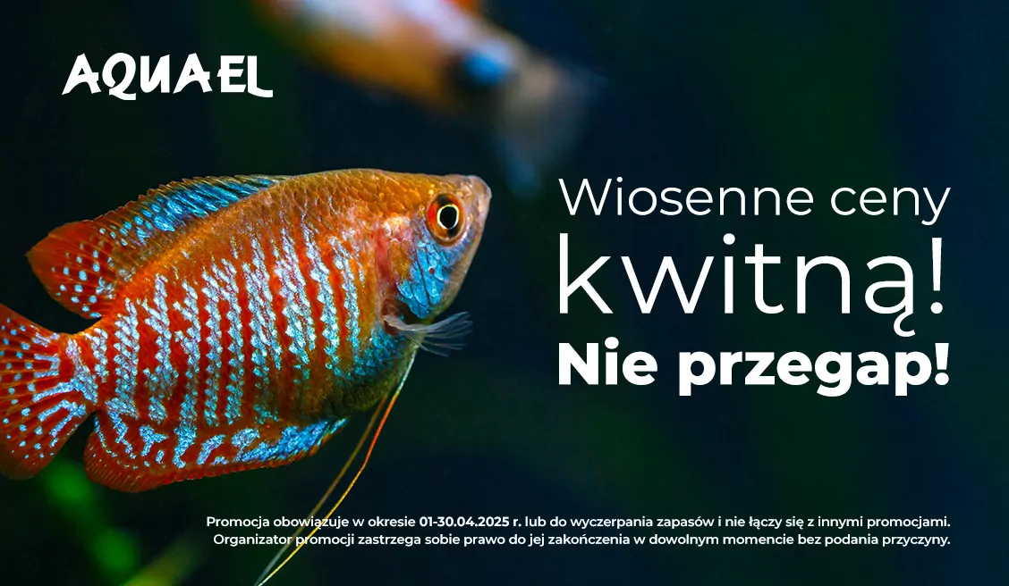 Aquael kwiecień