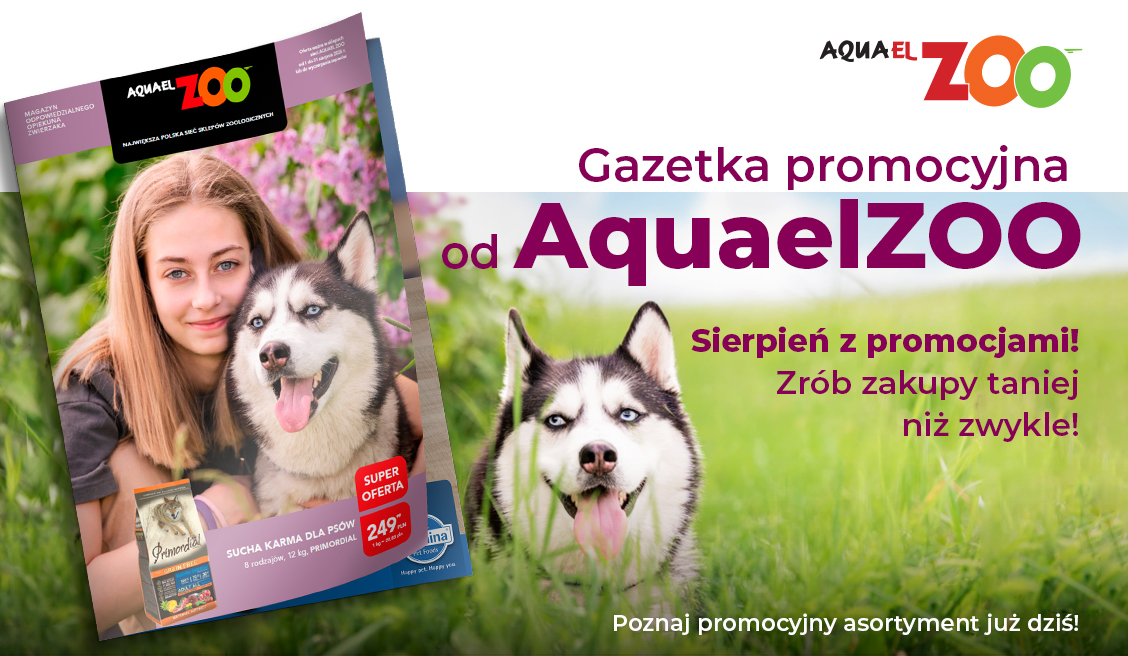 Gazetka 08.2026