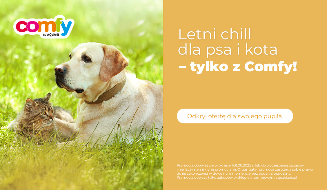 Comfy promocje sierpień