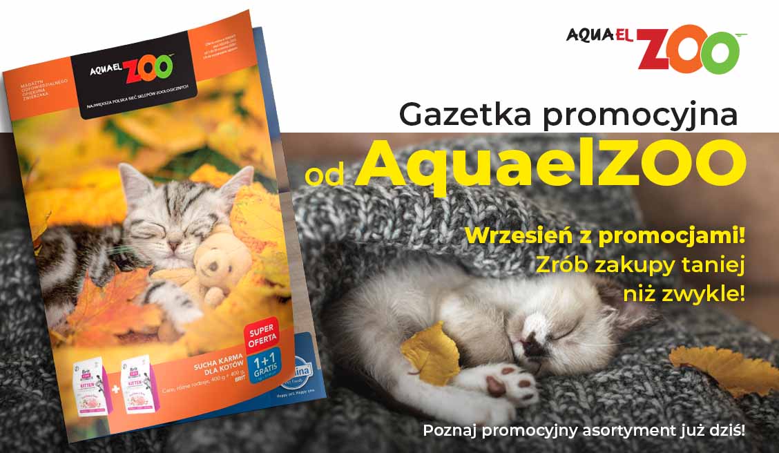 Gazetka 09.2026