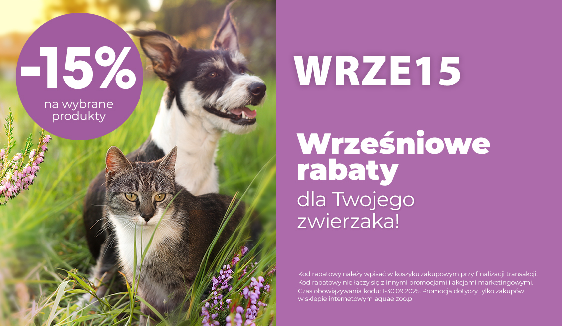Rabat Wrzesień