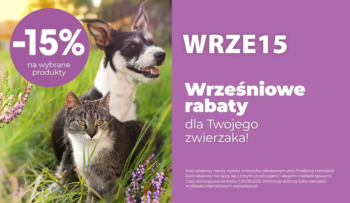 Rabat Wrzesień