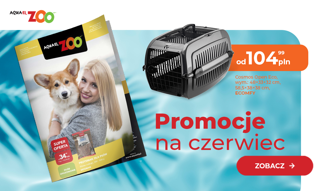 Gazetka 06.2023
