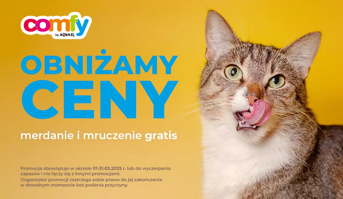 Promocje Comfy marzec