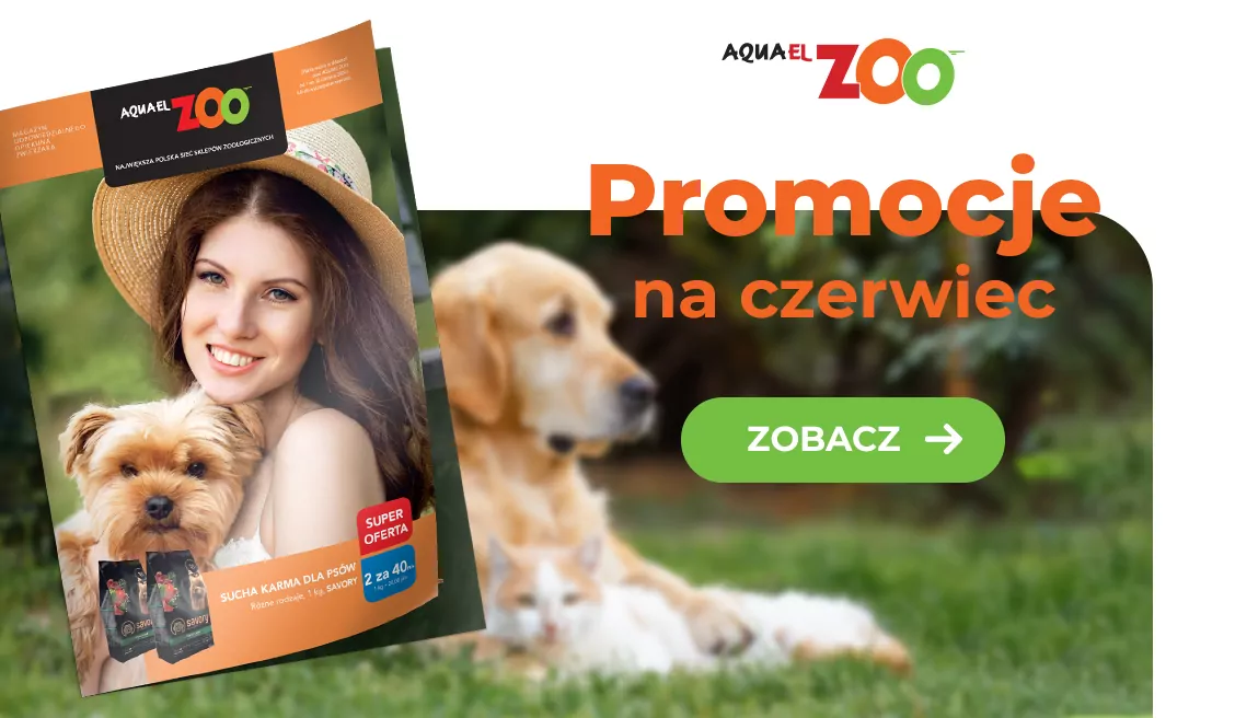 Gazetka 06.2026