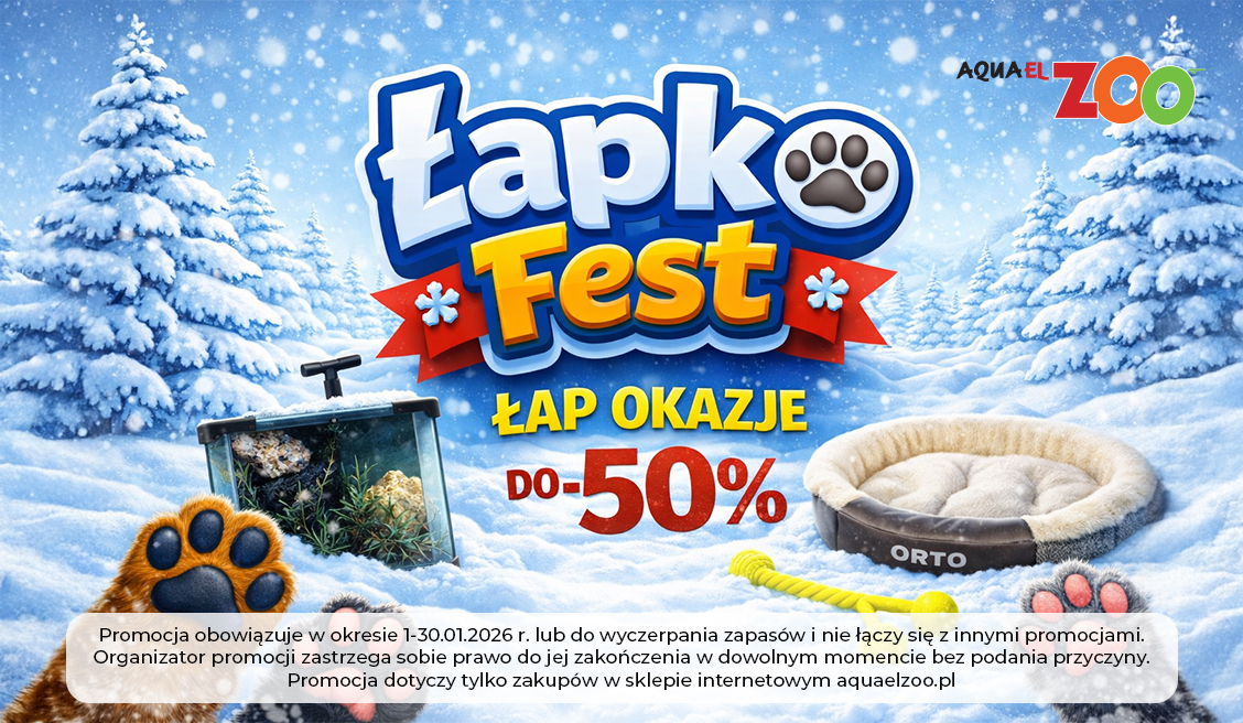 ŁapkoFest