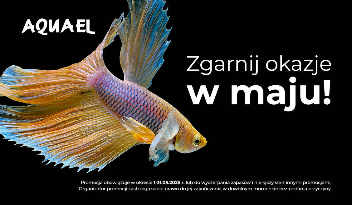Promocje Aquael maj 2025