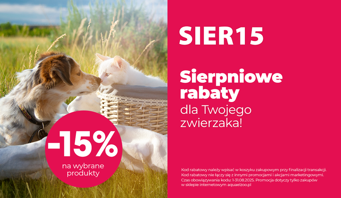 Rabat na sierpień