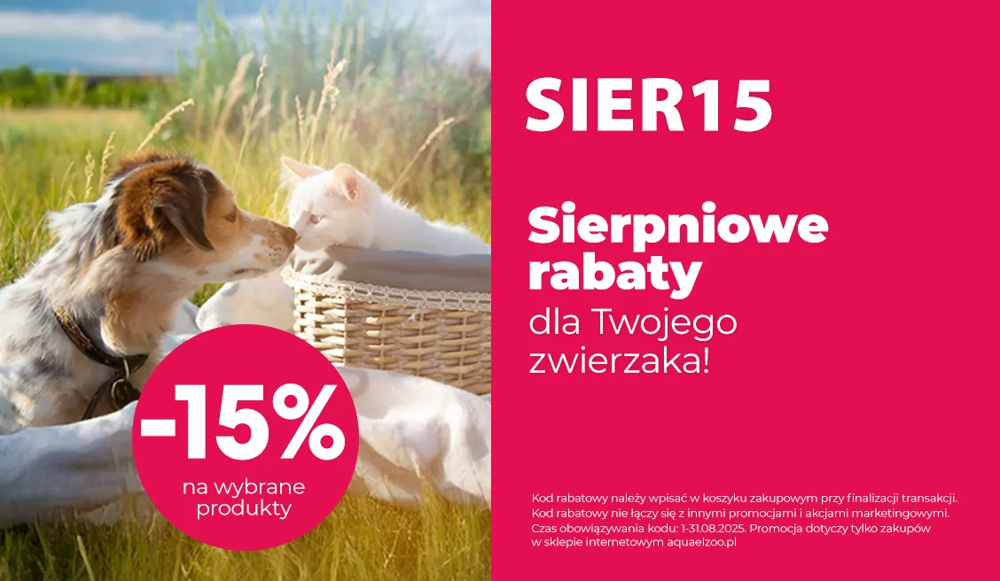 Rabat na sierpień