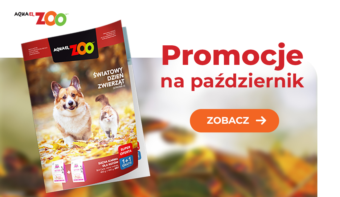 Gazetka10.2025