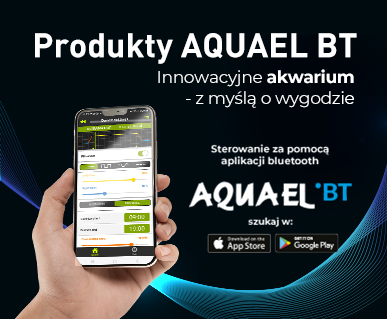 Produkty BT