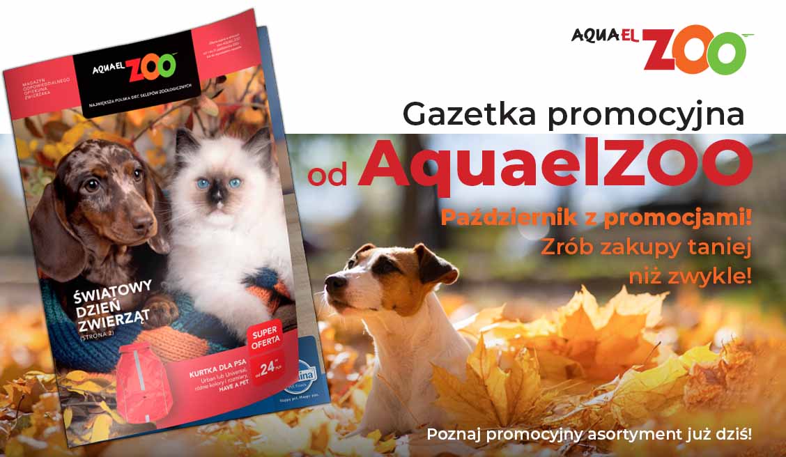 Gazetka 10.2026