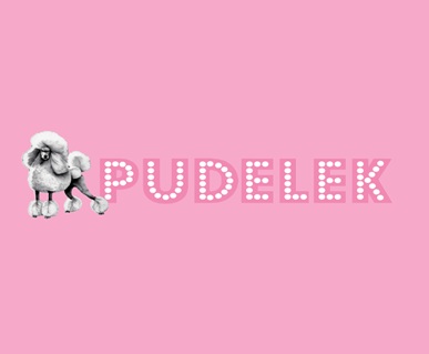 Pudelek