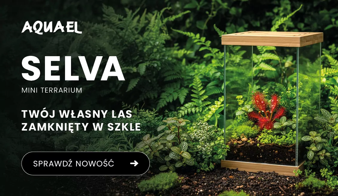 Paludarium Selva - Mini terrarium
