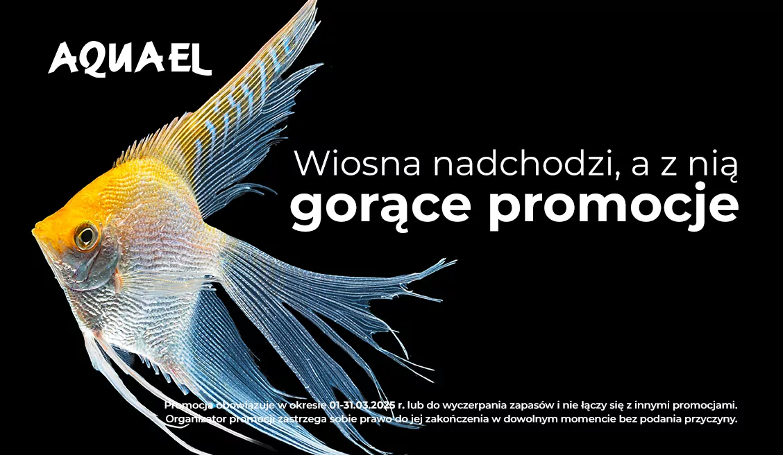 Promocje Aquael marzec